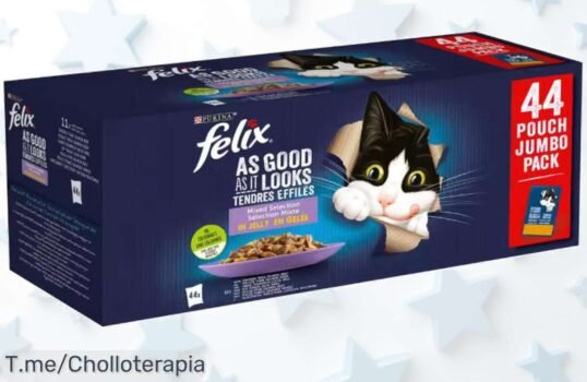 Deléitate con FELIX: 44 gelatinas irresistibles para tus mascotas a un precio loco que no podrás creer ¡No dejes pasar este super chollo y llévatelo ya antes de que se acabe!