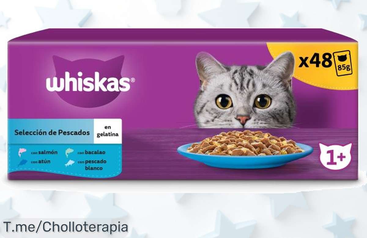 Delicioso festín Whiskas para tu gato, ¡super chollo de 4 latas en gelatina que lo hará saltar de alegría! No te quedes sin este ofertón, compra ya y hazlo feliz.