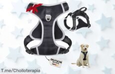 Descubre el arnés FAVVITY PET, diseñado para eliminar tirones y hacer paseos seguros ¡No te pierdas este super chollo! Stock limitado, compra ya y disfruta cada paseo