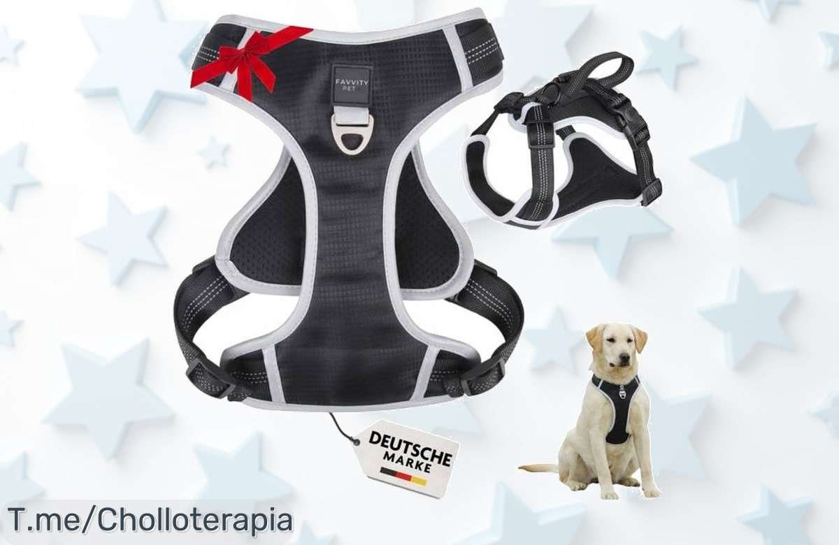 Descubre el arnés FAVVITY PET, diseñado para eliminar tirones y hacer paseos seguros. ¡No te pierdas este super chollo! Stock limitado, compra ya y disfruta cada paseo.