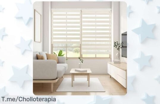 Descubre el estor enrollable Lira con ajuste de luz fácil y estilo único, ¡aprovecha este ofertón increíble antes de que se agote! Transforma tu hogar ahora mismo