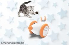 Descubre el juguete interactivo que hará vibrar a tu gato con luces y movimientos únicos, ¡no te pierdas este ofertón! Hazte con el Cheerble antes de que se agote