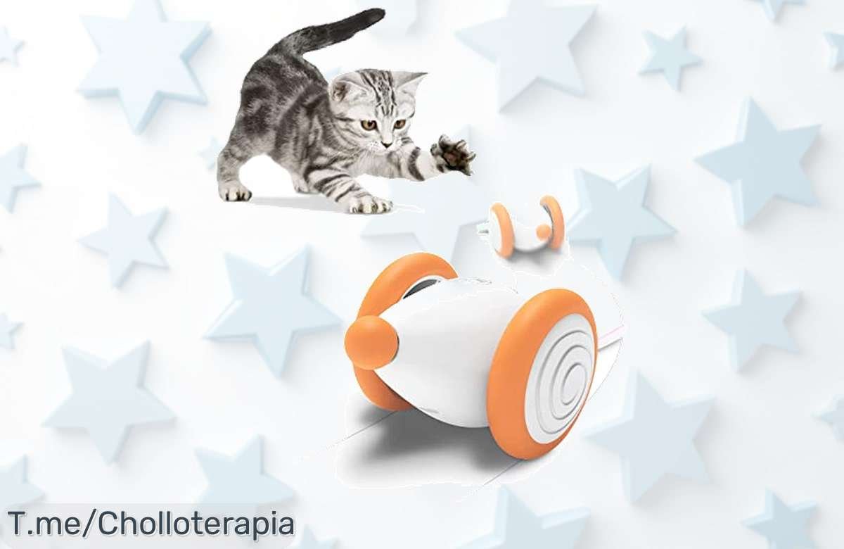 Descubre el juguete interactivo que hará vibrar a tu gato con luces y movimientos únicos, ¡no te pierdas este ofertón! Hazte con el Cheerble antes de que se agote.