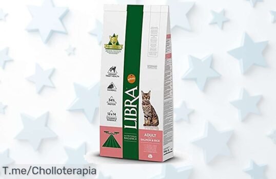 Descubre el sabor que hará ronronear a tu gato con nuestro pienso de salmón: ¡nutrición completa a un precio loco! Oferta limitada, no te quedes sin el super chollo