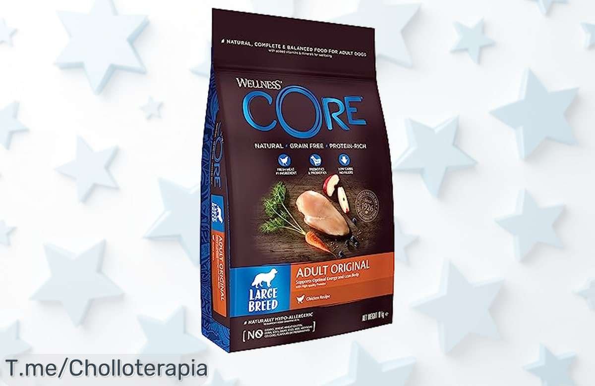 Descubre el super chollo de Wellness CORE: comida para perros grandes que cuida sus articulaciones. ¡Aprovecha este ofertón antes de que se acabe!