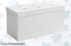Descubre el super chollo del Banco de almacenamiento SONGMICS: capacidad increíble y soporte robusto No te pierdas este ofertón, ¡actúa rápido antes que se agote!