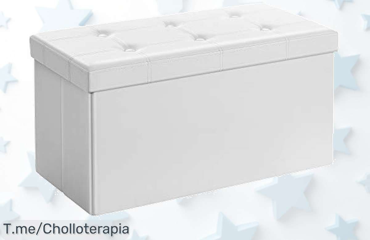 Descubre el super chollo del Banco de almacenamiento SONGMICS: capacidad increíble y soporte robusto. No te pierdas este ofertón, ¡actúa rápido antes que se agote!