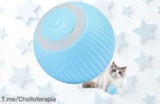 Descubre la Pelota Eléctrica Cat Ball 20, el juguete que hará brincar de alegría a tu gato con su giro loco y energía sin fin ¡Aprovecha este ofertón limitadísimo ya!