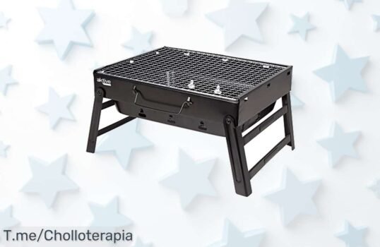 Descubre la barbacoa portátil AKTIVE 63031, un super chollo con diseño maletín y parrilla extraíble ¡Disfruta de asados en cualquier lugar a un precio loco antes que se agote!