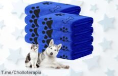 Descubre la toalla de microfibra que seca a tu perro al instante; ¡ofertón único y absorbente! No te pierdas este super chollo, compra ahora antes de que se acabe