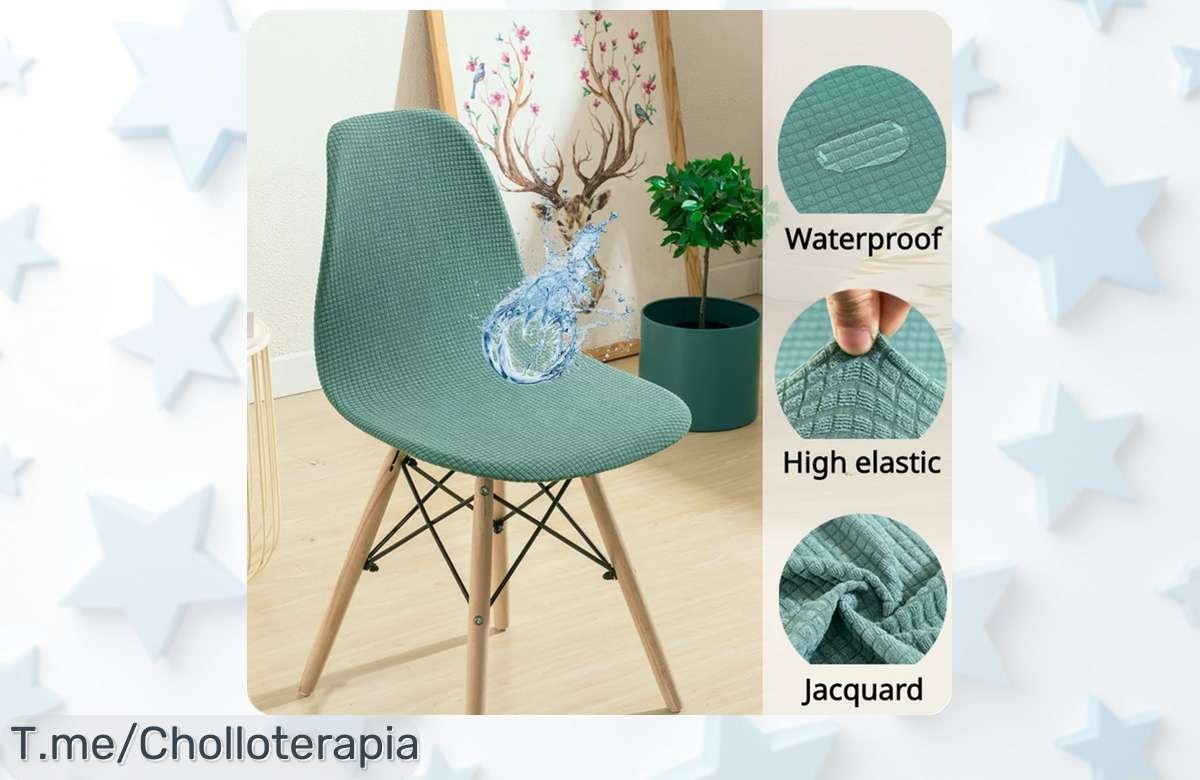 Funda Impermeable Para Sillas De Concha: El Super Chollo Que Tu Comedor Necesita, Protege Tu Mobiliario Con Estilo Y Haz Que Cada Fiesta Brille ¡Compra Ya Antes De Que Se Agote!