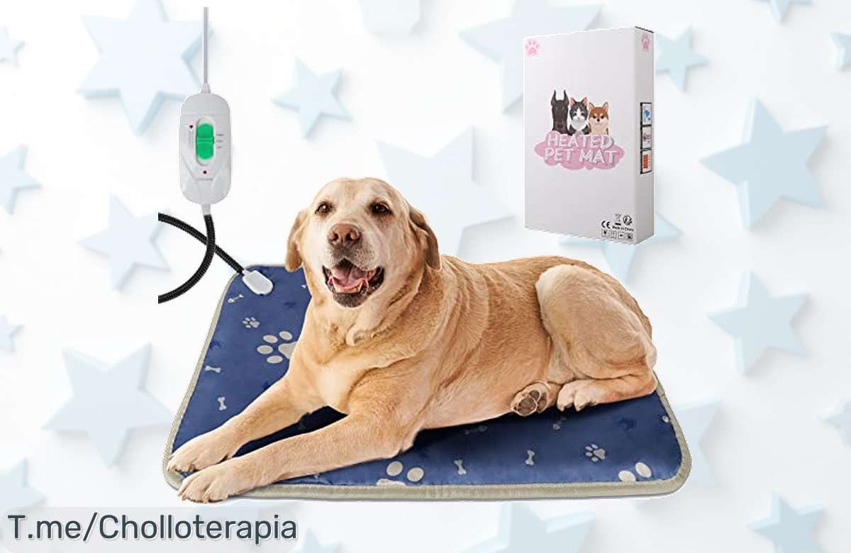 Manta térmica para tu mascota: calor y amor todo el año con control de temperatura. ¡Super chollo que no puedes dejar pasar! Hazte con ella antes de que se agote.