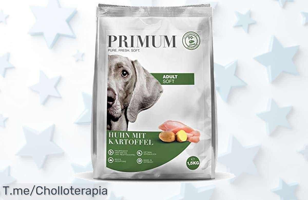 ¡No dejes pasar el ofertón! Saco de 1.5KG de pollo con patatas Premium para tu perrito a precio loco, alimento completo y delicioso que hará feliz a tu peludo, ¡compra ahora antes que se agote!