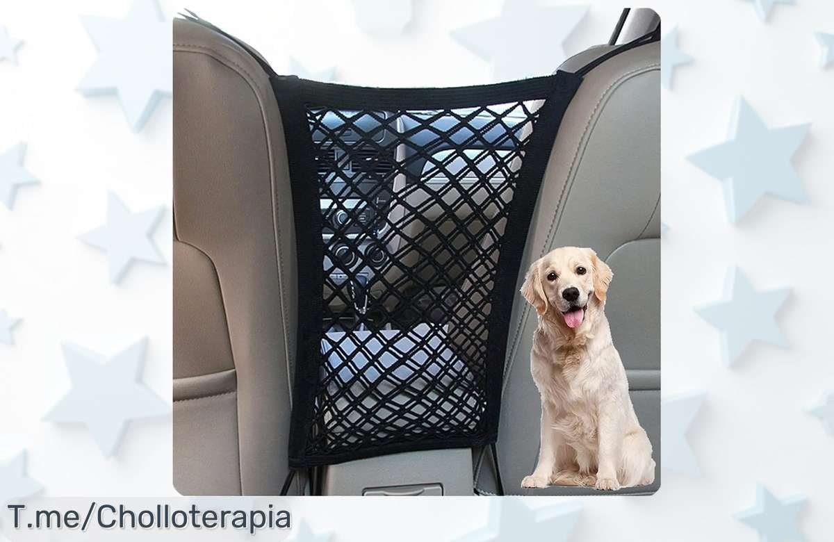 Protege a tu peludo con la barrera de coche que jamás has visto, seguridad automática y almacenamiento a un precio loco. ¡Compra ahora antes de que se acabe este ofertón!