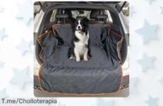 Protege tu coche y a tu perro con nuestra funda impermeable para SUV, un super chollo que hará tus viajes más limpios ¡Compra ahora antes de que se agote!