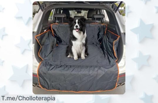 Protege tu coche y a tu perro con nuestra funda impermeable para SUV, un super chollo que hará tus viajes más limpios ¡Compra ahora antes de que se agote!