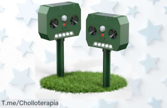 Protege tu hogar con el ahuyentador de gatos solar: sonido y luces LED para mantener intrusos a raya Oferta nunca vista, ¡aprovecha este super chollo limitado ya!