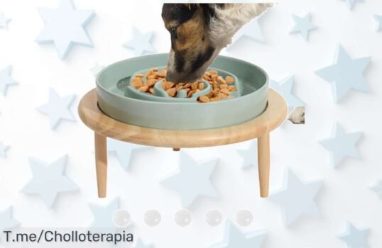 Transforma la hora de comer de tu peludo con nuestro cuenco antideslizante, mejora su digestión y evita derrames ¡Aprovecha este ofertón antes que se acabe!