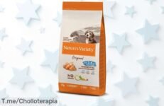Transforma la hora de comer de tu perro con el sabor irresistible del salmón: ¡aprovecha este super chollo antes que se agote! Nutrición premium a precio loco
