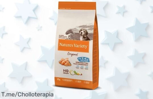 Transforma la hora de comer de tu perro con el sabor irresistible del salmón: ¡aprovecha este super chollo antes que se agote! Nutrición premium a precio loco