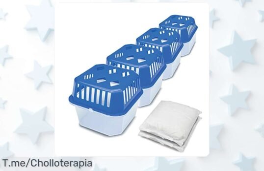 Transforma tu hogar con 8 bolsas de recarga para deshumidificadores Korona a precio loco y olvídate del moho, ¡hazte con este ofertón antes que se agoten!