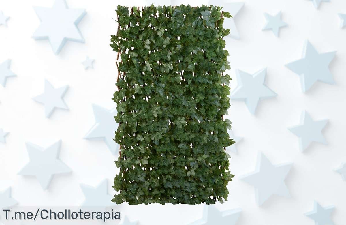 Transforma tu hogar con nuestra celosía de ocultación: belleza encantadora, privacidad asegurada y un precio loco. ¡Solo por tiempo limitado! No te quedes sin la tuya.