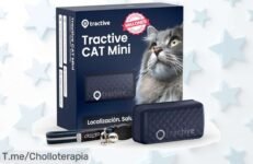 Descubre el collar GPS Mini de Tractive, monitoriza a tu gato en tiempo real y cuida su salud ¡Aprovecha este ofertón único antes que se agote!