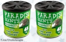 Descubre el frescor del Pino con un ofertón único: Perfumador Lata Gel Paradise, ¡45 días de aroma intenso que transforma tu hogar! No te lo pierdas, compra ya antes de que se acabe