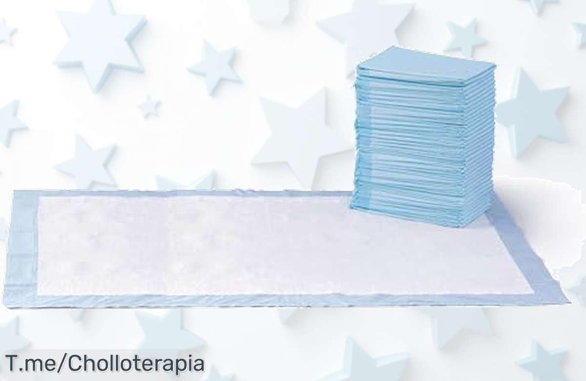 Descubre el ofertón de almohadillas para adiestrar a tu perro, con 5 capas a prueba de fugas y secado rápido. ¡Protege tu hogar al mejor precio antes que se agoten!