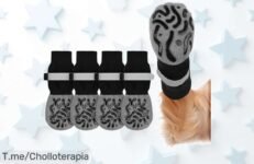 Descubre el super chollo de calcetines antideslizantes Adiwo para tu perro, con Velcro y correas reflectantes ¡Protege a tu peludo por un tiempo limitado, actúa ya!