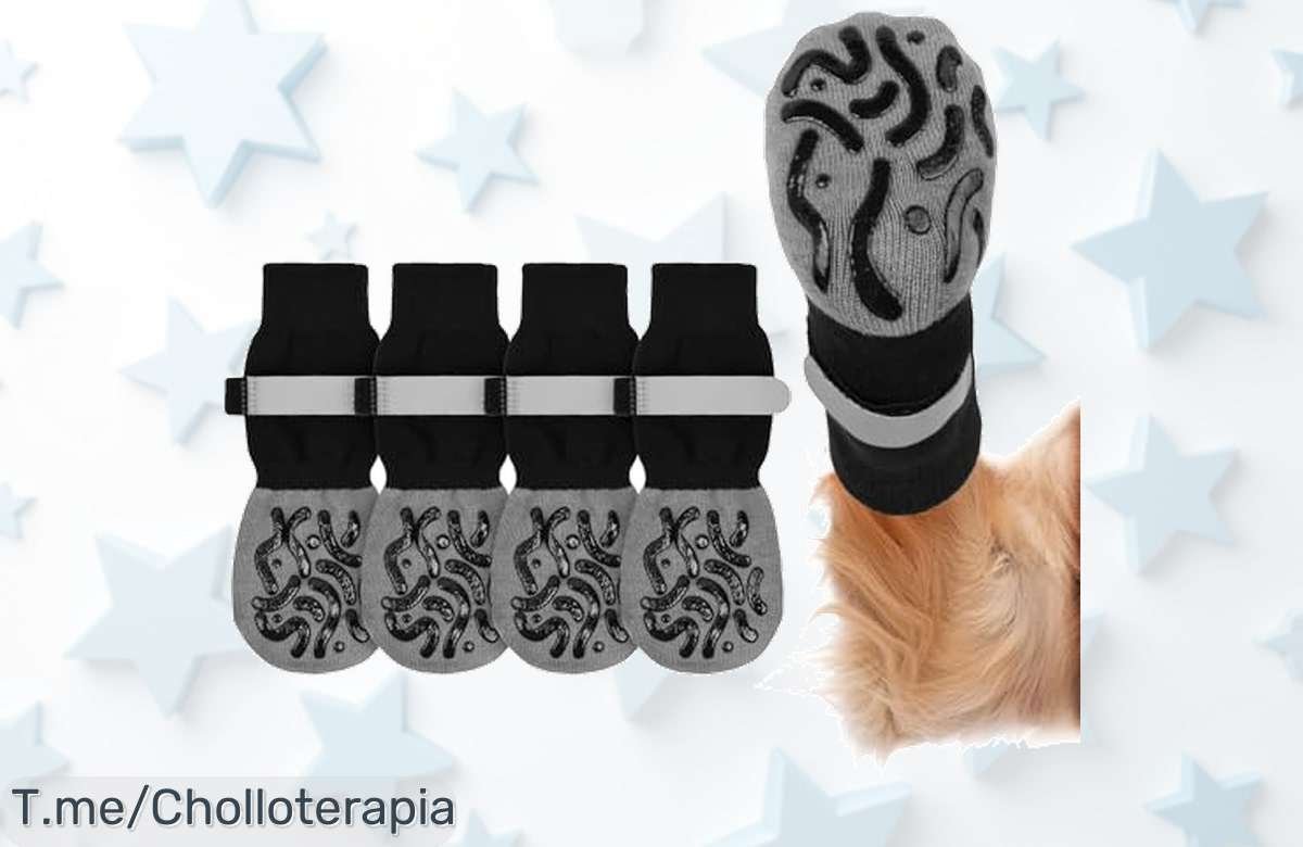 Descubre el super chollo de calcetines antideslizantes Adiwo para tu perro, con Velcro y correas reflectantes. ¡Protege a tu peludo por un tiempo limitado, actúa ya!