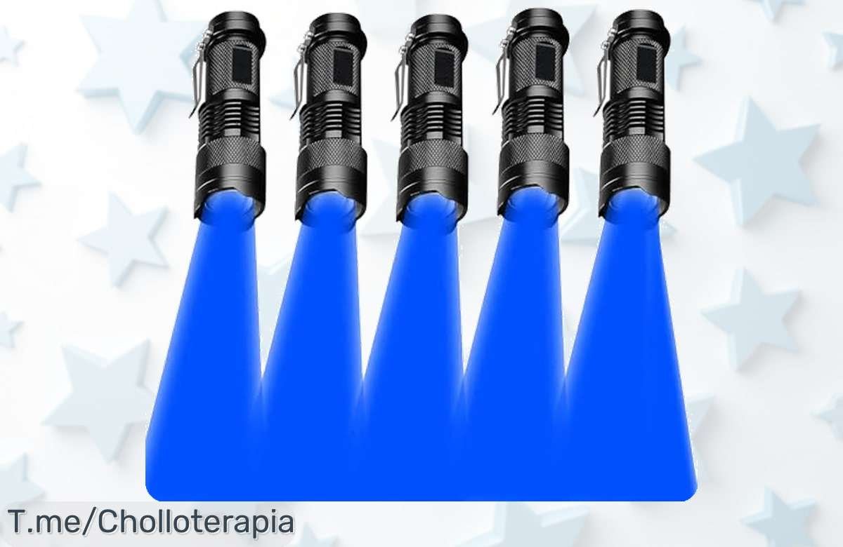 Descubre el super chollo de linternas: Pack de 5 LED Zoomables, resistentes al agua y con 3 modos para iluminar tus aventuras. Aprovecha este ofertón antes que se agoten ¡compra YA!