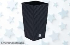 Descubre la Maceta Rato de 7,2 litros a precio loco: calidad y estilo para tu hogar en un super chollo Oferta limitada, ¡haz que tu espacio brille y compra ahora!