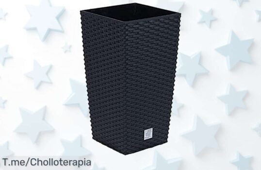 Descubre la Maceta Rato de 7,2 litros a precio loco: calidad y estilo para tu hogar en un super chollo Oferta limitada, ¡haz que tu espacio brille y compra ahora!