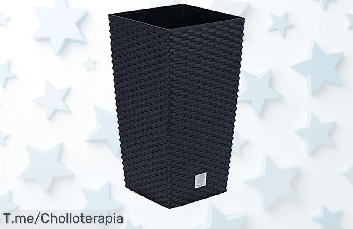 Descubre la Maceta Rato de 7,2 litros a precio loco: calidad y estilo para tu hogar en un super chollo. Oferta limitada, ¡haz que tu espacio brille y compra ahora!