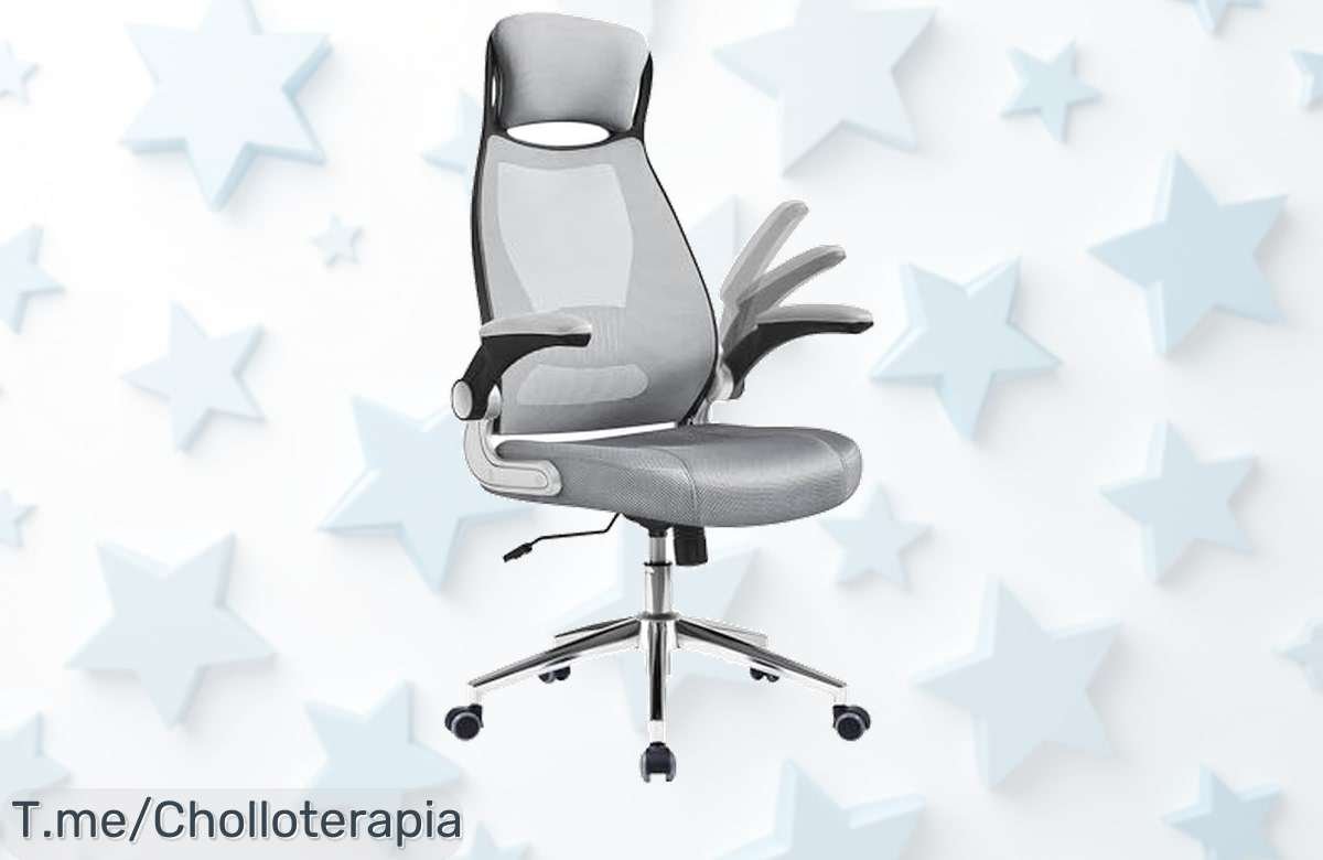 Descubre la Silla de Oficina Ergonómica a Precio Locura: Apoyabrazos Plegables y Soporte Lumbar para Tu Comodidad, ¡Aprovecha Este Ofertón Limitado Antes de Que Se Agote!