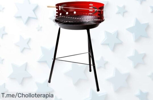 Descubre la barbacoa Aktive Sport, el ofertón que hará de tus parrilladas un éxito total ¡Aprovecha este precio loco y hazte con la tuya antes de que se agoten!