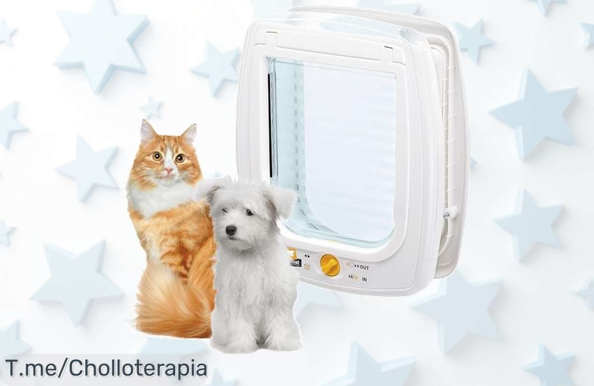 Descubre la gatera Ferplast que tu mascota desea con un diseño elegante y control total de acceso, ¡no te pierdas este super chollo! Compra ya antes de que se agote.
