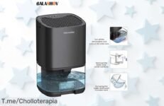 Deshazte de la humedad y el mal olor con nuestro deshumidificador portátil ultra silencioso, ¡ofertón limitado! Vive fresco por un precio loco antes de que se agote