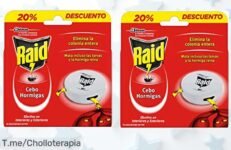 Elimina la plaga de hormigas con Raid Cebos: acción continua durante 3 semanas y un hogar libre de intrusas ¡Aprovecha este ofertón limitado y llévate 2 Packs ahora!