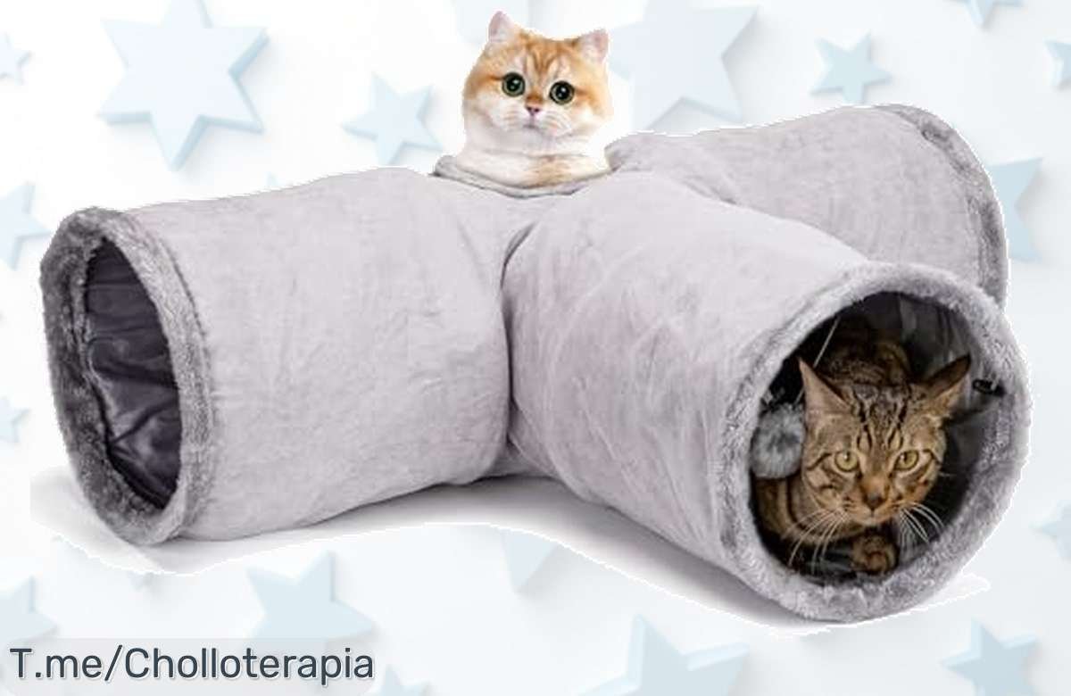 Haz Que Tu Gato Se Vuelva Loco De Felicidad Con Este Túnel De Juego Único A Un Precio Loco, ¡Diversión Garantizada Y Stock Limitado, Compra Ahora!