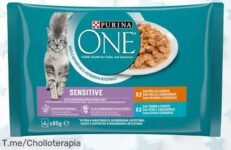 Haz feliz a tu gato con 48 sobres de comida húmeda irresistibles al precio loco que nunca habías visto, ¡aprovecha este ofertón antes de que se acabe!
