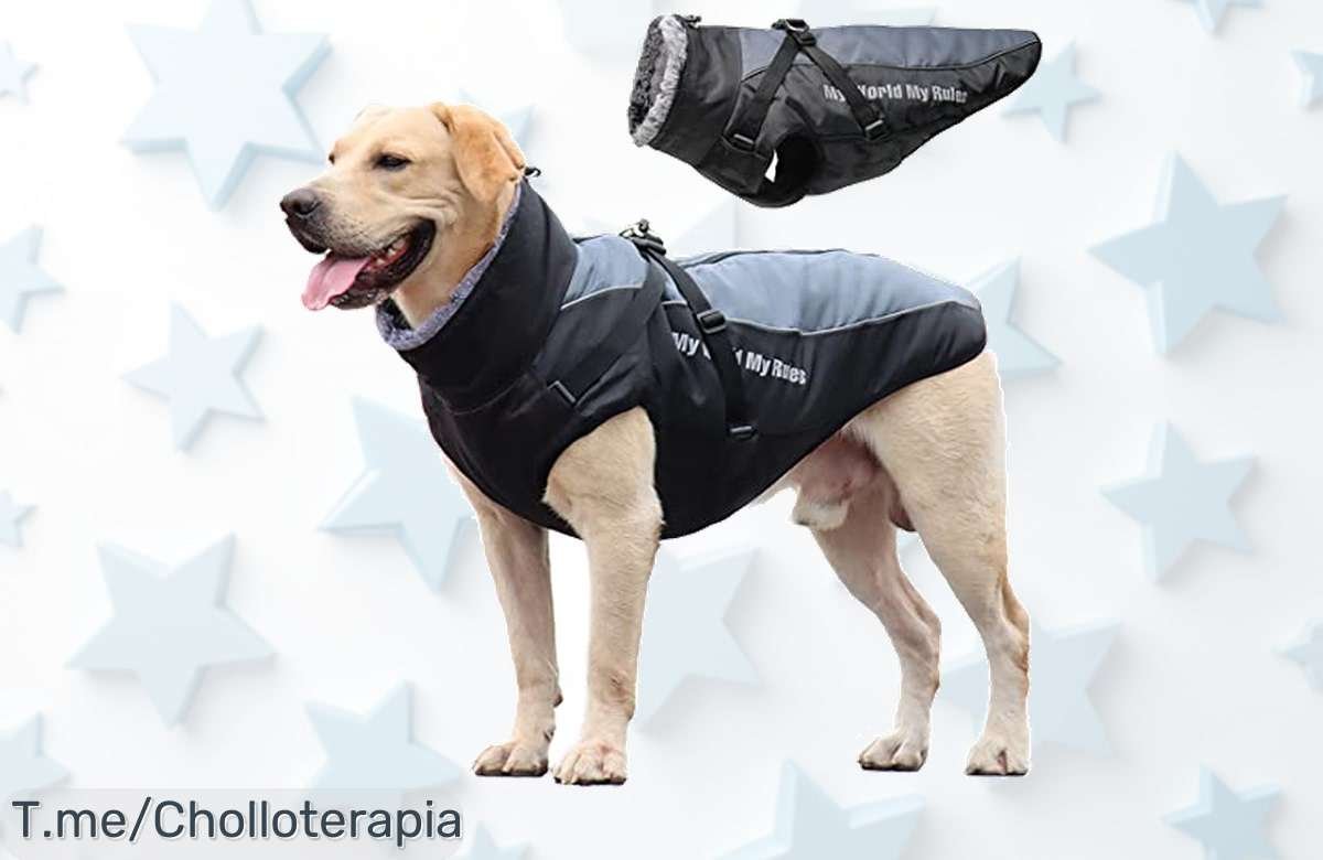 Haz feliz a tu peludo con nuestro abrigo impermeable y destaca en paseos nocturnos. ¡Super chollo por tiempo limitado, no lo dejes escapar!