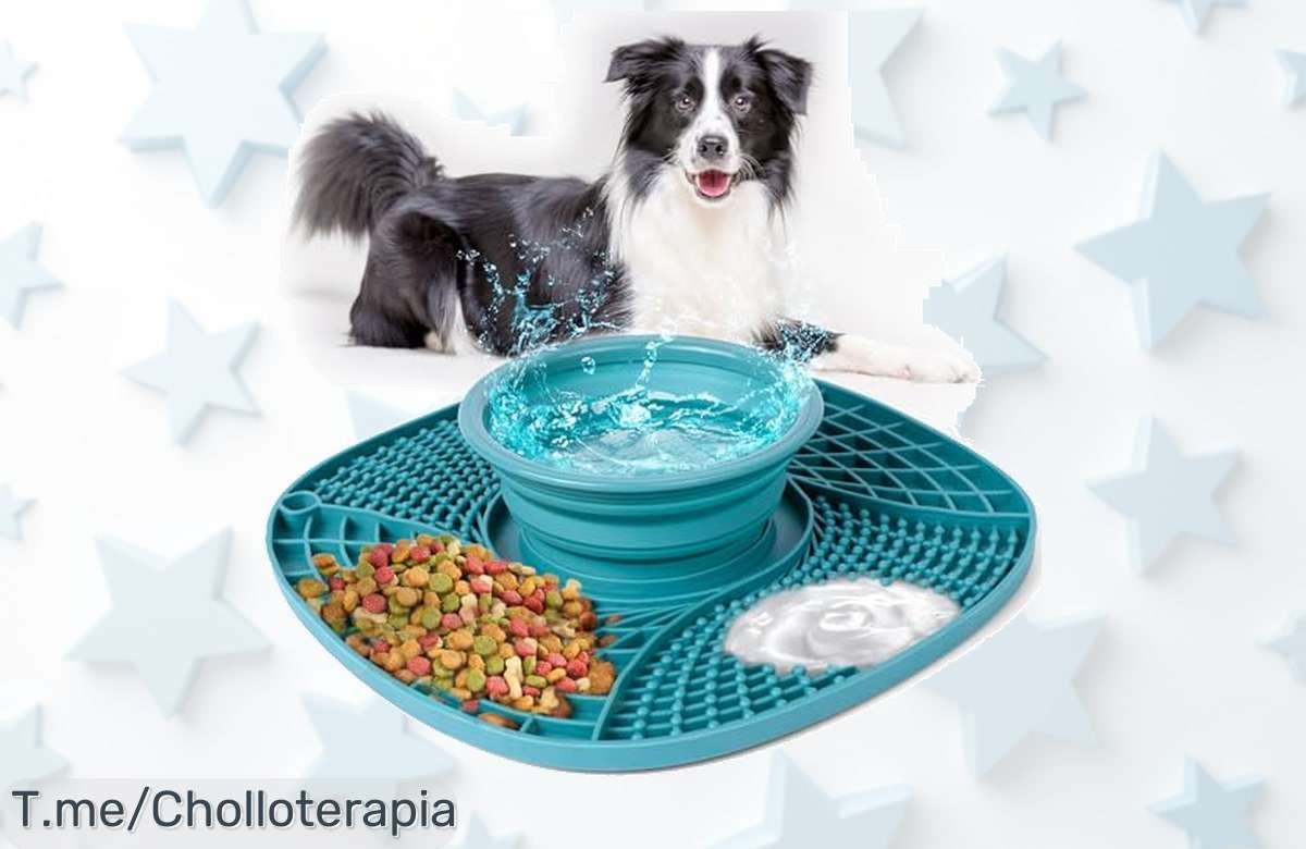 Haz feliz a tu perro con la alfombrilla para lamer, un super chollo que alivia su ansiedad y mejora su alimentación ¡No te quedes sin el tuyo, oferta limitada!