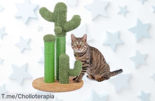 Haz que tu gato sea el rey de la diversión con el rascador PAWZ Road: ¡doble entretenimiento y estilo en un solo lugar! No te pierdas este ofertón limitado; compra ahora