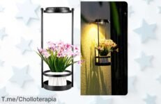 Ilumina tu hogar con nuestras lámparas solares al mejor precio loco, resistentes y perfectas para destacar tus plantas ¡No dejes pasar esta oferta única, solo quedan pocas!