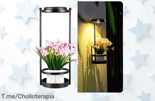 Ilumina tu hogar con nuestras lámparas solares al mejor precio loco, resistentes y perfectas para destacar tus plantas ¡No dejes pasar esta oferta única, solo quedan pocas!