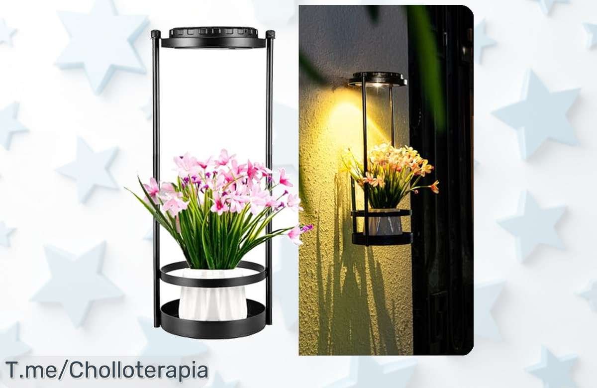 Ilumina tu hogar con nuestras lámparas solares al mejor precio loco, resistentes y perfectas para destacar tus plantas. ¡No dejes pasar esta oferta única, solo quedan pocas!