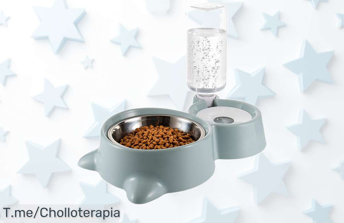 Increíble cuenco doble para perros y gatos con comedero extraíble ¡Descuento brutal y súper chollo! Haz que tu mascota disfrute como nunca, ¡compra antes de que se agote!