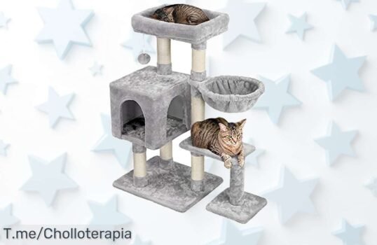Rascador Ideal para Gatos a Precio Loco: Diversión y Seguridad Para Tu Felino en Un Super Chollo Limitado ¡No Te Quedes Sin El Tuyo, La Oferta Se Acaba!